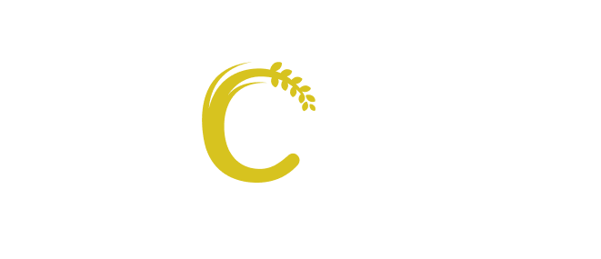 コンパクトシャリ玉ロボット S-Cube SmallでSmart、Simpleな使い心地